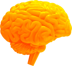 The Brain in orange, gespiegelt und freigestellt